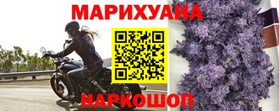 гидропоника Малгобек