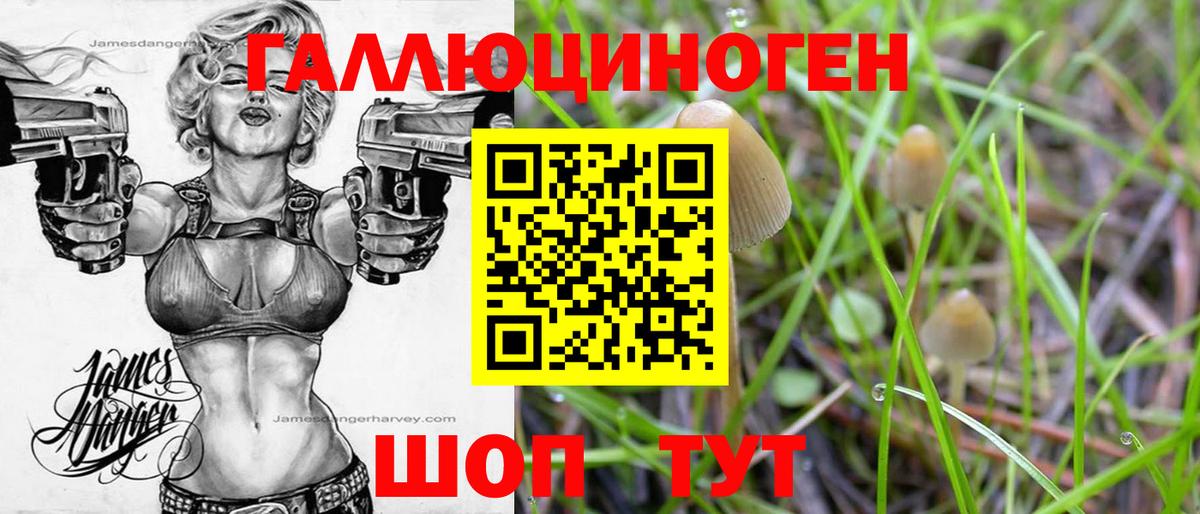 Галлюциногенные грибы GOLDEN TEACHER Ставрополь